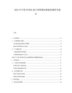 2025年中國NETBOX嵌入網絡模塊數據監測研究報告