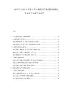 2025至2030中國水管路檢漏系統行業項目調研及市場前景預測評估報告