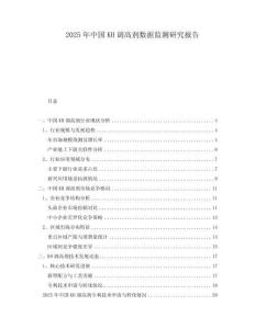 2025年中國KH調(diào)高劑數(shù)據(jù)監(jiān)測研究報告