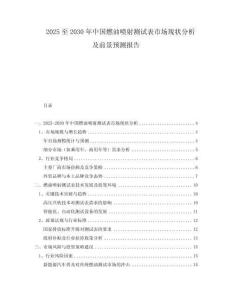 2025至2030年中國燃油噴射測試表市場現狀分析及前景預測報告