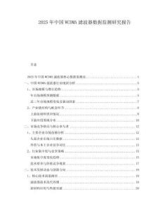 2025年中國WCDMA濾波器數據監測研究報告