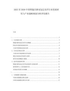 2025至2030中國鉺鐿共摻雙包層光纖行業(yè)發(fā)展研究與產業(yè)戰(zhàn)略規(guī)劃分析評估報告