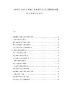 2025至2030中國爆炸分流器行業(yè)項(xiàng)目調(diào)研及市場前景預(yù)測評估報(bào)告