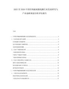 2025至2030中國經(jīng)顱磁刺激線圈行業(yè)發(fā)展研究與產(chǎn)業(yè)戰(zhàn)略規(guī)劃分析評(píng)估報(bào)告