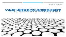 5G環(huán)境下頻譜資源動態(tài)分配的載波偵察技術(shù)最佳分析