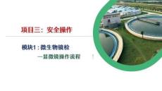 顯微鏡操作流程