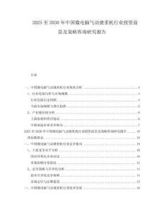 2025至2030年中國微電腦氣動(dòng)燙重機(jī)行業(yè)投資前景及策略咨詢研究報(bào)告