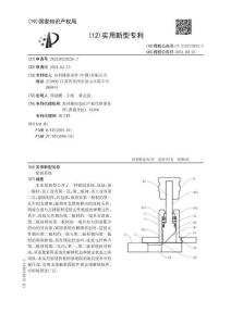 CN202320220226.7_緊固系統(tǒng)_賓科精密部件（中國）有限公司