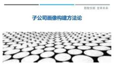 子公司畫(huà)像構(gòu)建方法論最佳分析