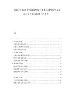 2025至2030中國肩部墊圈行業(yè)市場深度研究及發(fā)展前景投資可行性分析報告