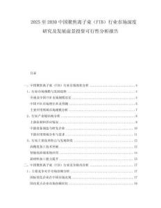 2025至2030中國聚焦離子束（FIB）行業(yè)市場深度研究及發(fā)展前景投資可行性分析報告