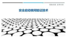 安全啟動核間驗證技術最佳分析