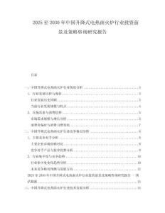 2025至2030年中國升降式電熱面火爐行業(yè)投資前景及策略咨詢研究報告