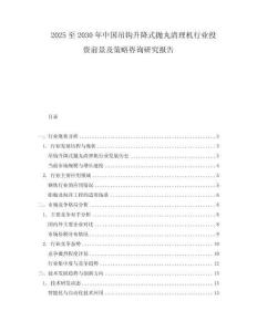 2025至2030年中國吊鉤升降式拋丸清理機行業投資前景及策略咨詢研究報告