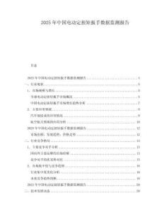 2025年中國電動定扭矩扳手數(shù)據(jù)監(jiān)測報告