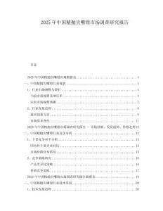 2025年中國(guó)精拋尖嘴鉗市場(chǎng)調(diào)查研究報(bào)告