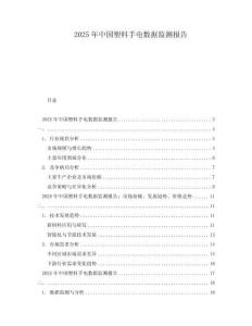 2025年中國塑料手電數(shù)據(jù)監(jiān)測報(bào)告