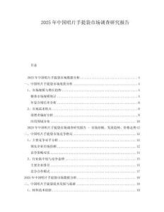 2025年中國唱片手提袋市場調查研究報告