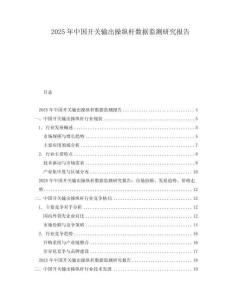 2025年中國開關輸出操縱桿數據監測研究報告