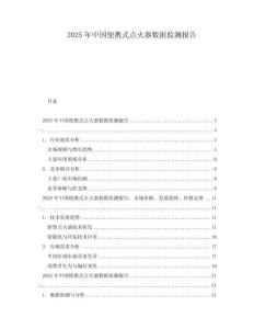 2025年中國便攜式點火器數據監測報告