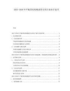 2025-2030年平板型結構整流管殼項目商業計劃書