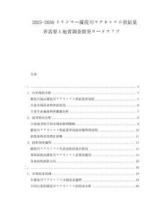 2025-2030ミャンマー羅霞川マグネシウム供給業(yè)界需要と地質(zhì)調(diào)査開発ロードマップ