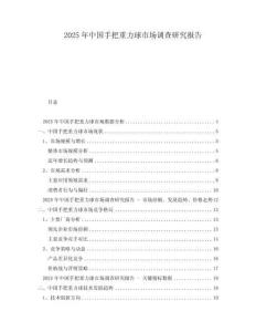 2025年中國(guó)手把重力球市場(chǎng)調(diào)查研究報(bào)告