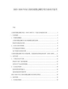 2025-2030年內六角柱端緊定螺釘項目商業計劃書