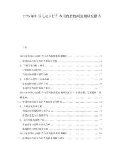 2025年中國電動自行車專用內胎數據監測研究報告
