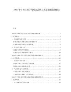 2025年中國紅帽子用反光晶格反光套數(shù)據(jù)監(jiān)測報(bào)告