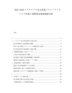 2025-2030エチオピアの水力発電プロジェクトのリスク評価と國際資金調達戦略分析