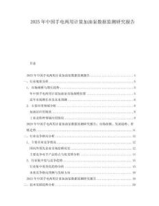 2025年中國手電兩用計量加油泵數(shù)據(jù)監(jiān)測研究報告