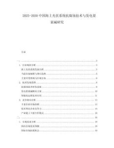 2025-2030中國海上光伏系統(tǒng)抗腐蝕技術(shù)與發(fā)電量衰減研究