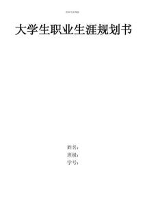 應用德語專業-大學生職業生涯規劃書