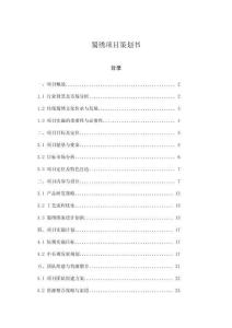 蜀繡項目策劃書