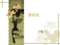 脾破裂课件