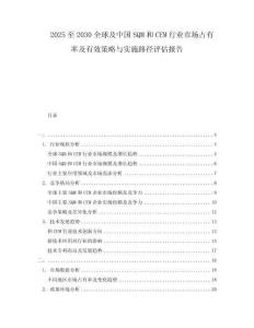 2025至2030全球及中國SQM和CEM行業(yè)市場占有率及有效策略與實(shí)施路徑評估報(bào)告