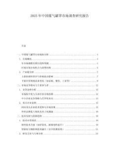 2025年中國煤氣罐罩市場調(diào)查研究報告