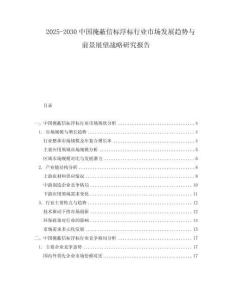 2025-2030中國掩蔽信標浮標行業(yè)市場發(fā)展趨勢與前景展望戰(zhàn)略研究報告