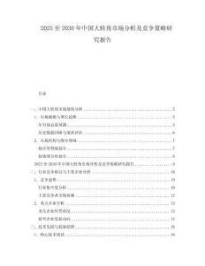 2025至2030年中國大轉(zhuǎn)角市場分析及競爭策略研究報(bào)告