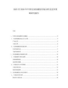 2025至2030年中國光身防撬鉸市場分析及競爭策略研究報告