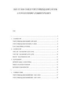 2025至2030全球及中國汽車跳躍起動(dòng)器行業(yè)市場(chǎng)占有率及有效策略與實(shí)施路徑評(píng)估報(bào)告