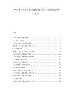 2025年中國羊剪絨大毯行業投資前景及策略咨詢研究報告