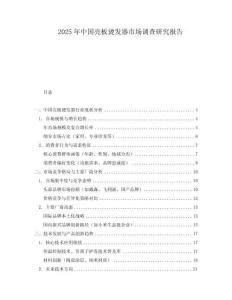 2025年中國亮板燙發(fā)器市場調(diào)查研究報告