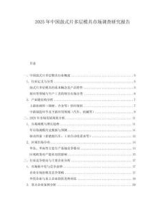 2025年中國鼓式片多層模具市場調查研究報告