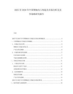 2025至2030年中國塑柄內六角旋具市場分析及競爭策略研究報告