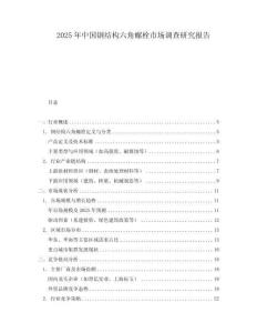 2025年中國鋼結(jié)構(gòu)六角螺栓市場調(diào)查研究報告