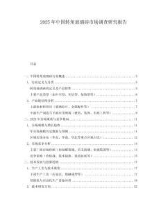 2025年中國轉(zhuǎn)角玻璃磚市場調(diào)查研究報(bào)告