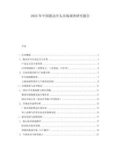 2025年中國撥動開頭市場調查研究報告