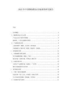 2025年中國銅制鞋扣市場調(diào)查研究報告